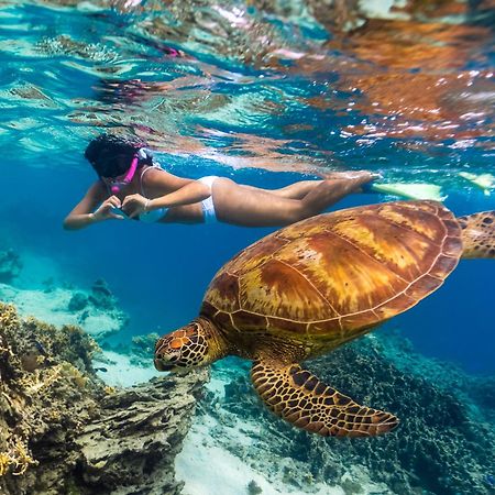 Sanctuary Rarotonga On The Beach (Adults Only) Luaran gambar
