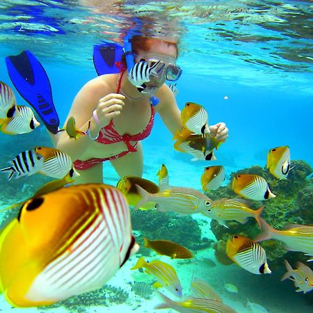 Sanctuary Rarotonga On The Beach (Adults Only) Luaran gambar